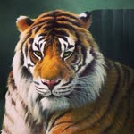Serdar