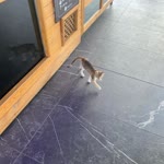 Ceren