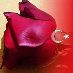 Betül