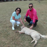 Aylin