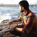 Veysel