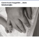 Arif