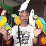 Oğuz