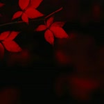 Enes