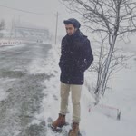 Özgür