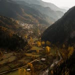 Bildal