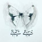 Sümeyye