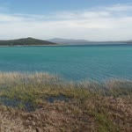 Zuhal