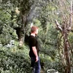 Serdar