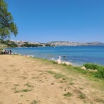 Ayşenur