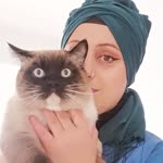 Gülşen