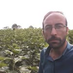 Reşit