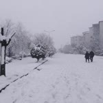 Haldun