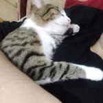 Ikinci