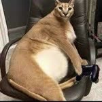 Furkan