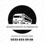 Şahin