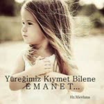 Nazlı