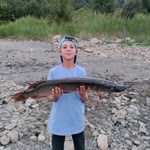 Umut