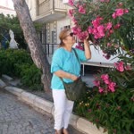 Sebile