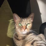 Gizem