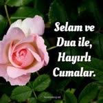 Şahenk