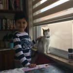 Ege