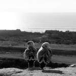 Hasan