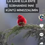 Deniz