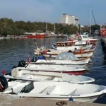 Oğuz