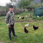 Firdevs