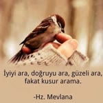 Feray
