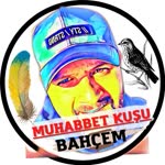 Savaş