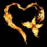 Ayse