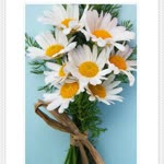 Emine