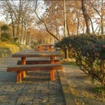 Firat