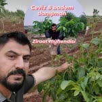 Yener