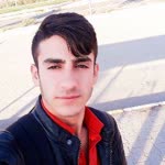 Barış