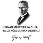 Betül