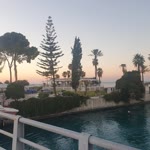 Tülay