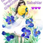 Neşe