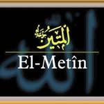 Metin