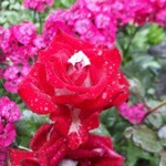 İsmail
