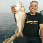 Halil