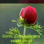 Hakan