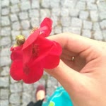 Kübra