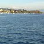 Umut