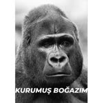 Eser
