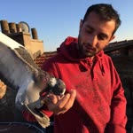 Yusuf