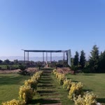 İlhami