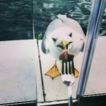 Profil fotoğrafı